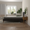 8" Daisy - Firm Mattress - 8BNV - photo 5