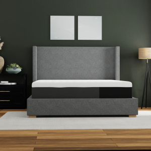 12" Essentials Plush & Soft Memory Foam Mattress - 12ESS