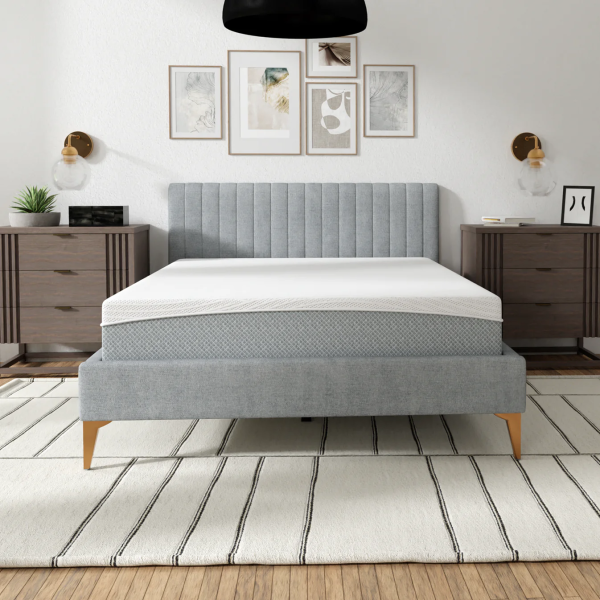 10" EcoCore Hybrid Premium Soy Foam & Pocket Coil Mattress - Medium Firm (model 10HSOY)