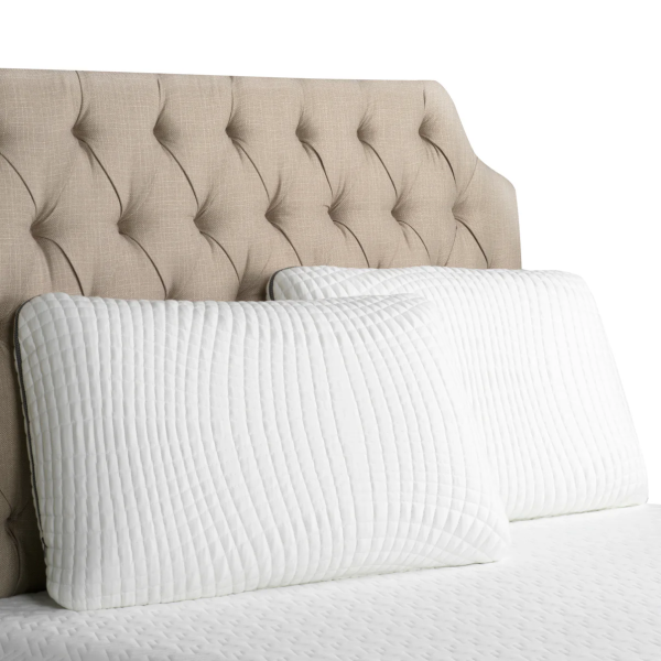 Ventilated Bamboo Charcoal Infused Memory Foam Pillow with Washable Cover (model PBD328)