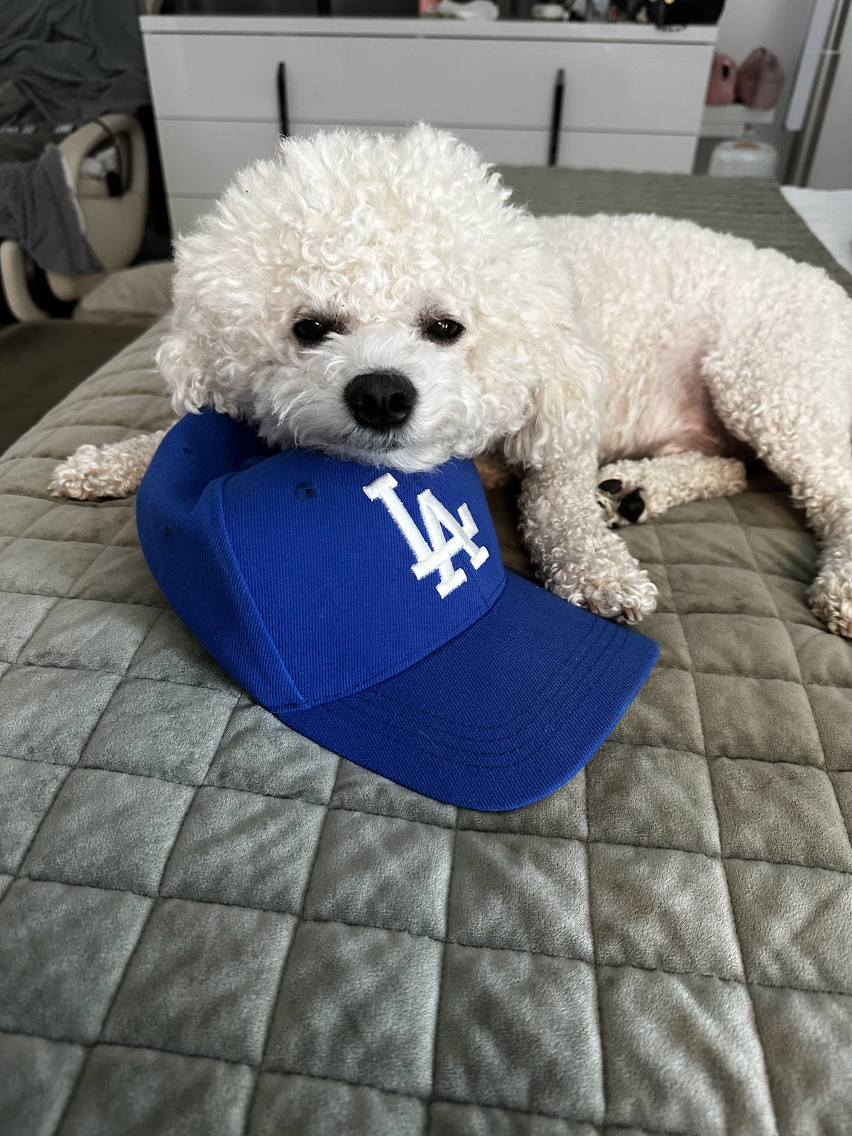 Peanut glum on a Dodgers cap (REAL photo, Dodgers-loss fan post)