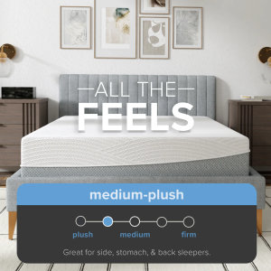 12” EcoCore Hybrid Deluxe - Medium Plush
