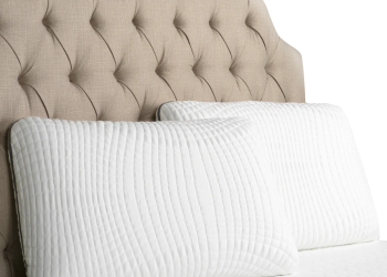 Bamboo Charcoal Infused Memory Foam Pillow